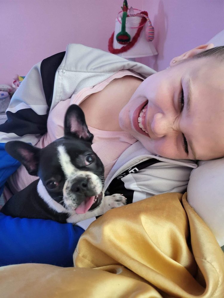 A past Sirius French Bulldogs puppy